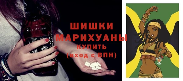 твердый Коряжма
