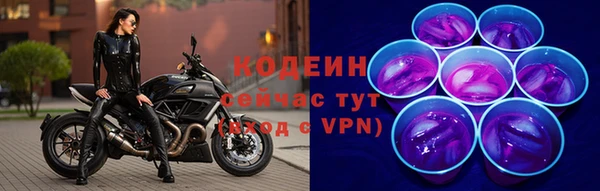 твердый Коряжма