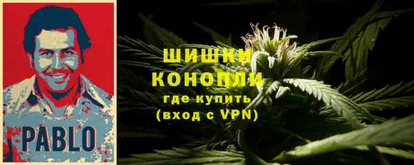 твердый Коряжма