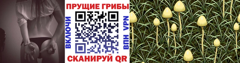 Галлюциногенные грибы мухоморы  Купить закладки  Туран 
